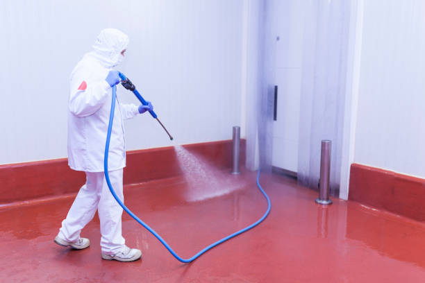 Best Vinyl Siding Pressure Washing in Hudson, TX